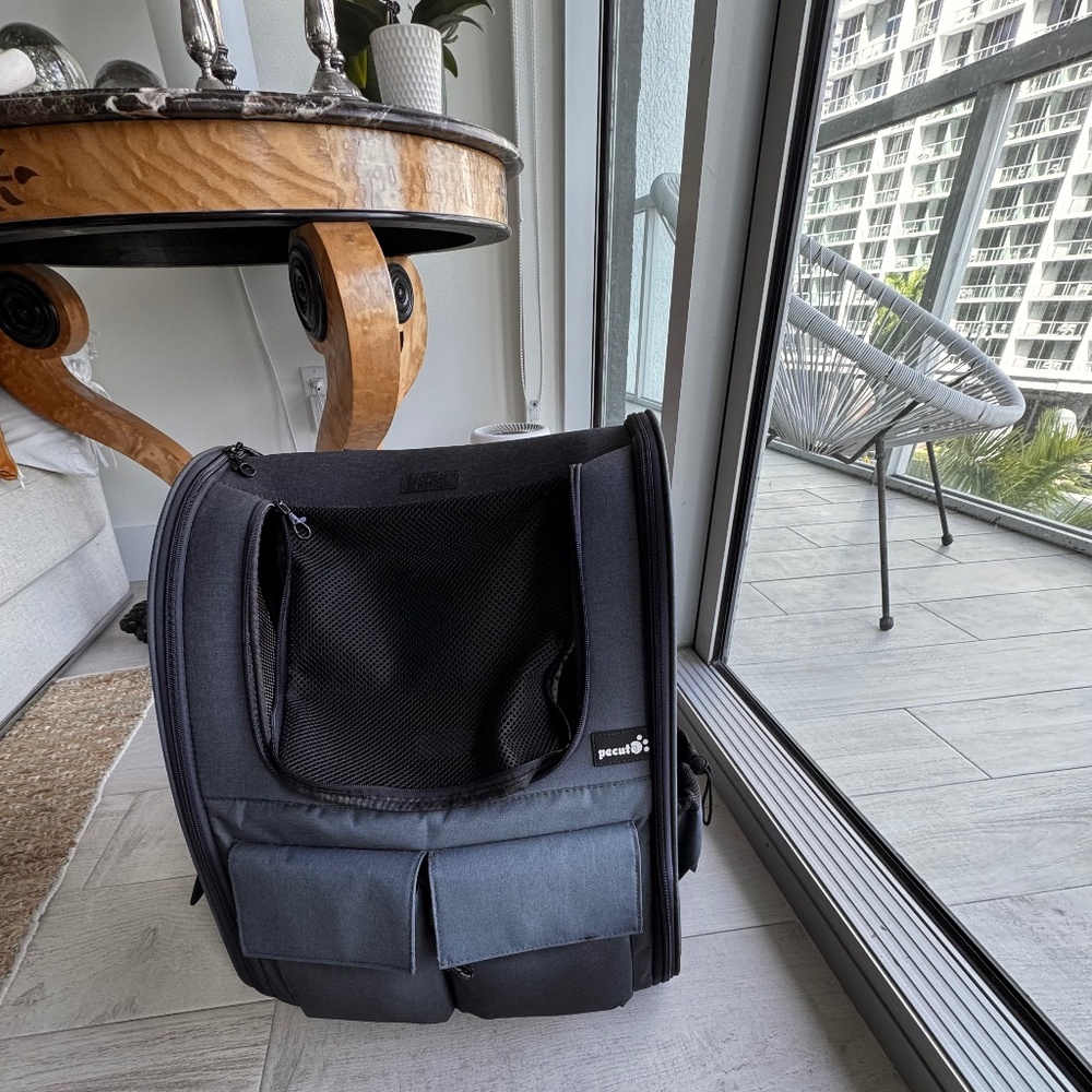 Large pet carrier